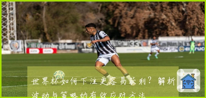 世界杯如何下注更容易获利？解析波动与策略的有效应对方法