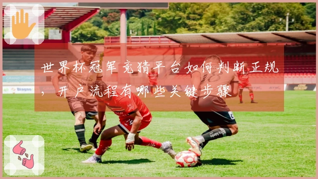 世界杯冠军竞猜平台如何判断正规，开户流程有哪些关键步骤