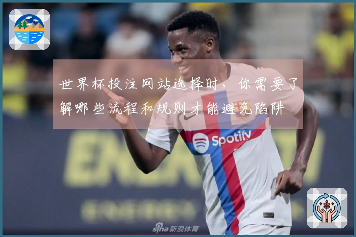 世界杯投注网站选择时，你需要了解哪些流程和规则才能避免陷阱
