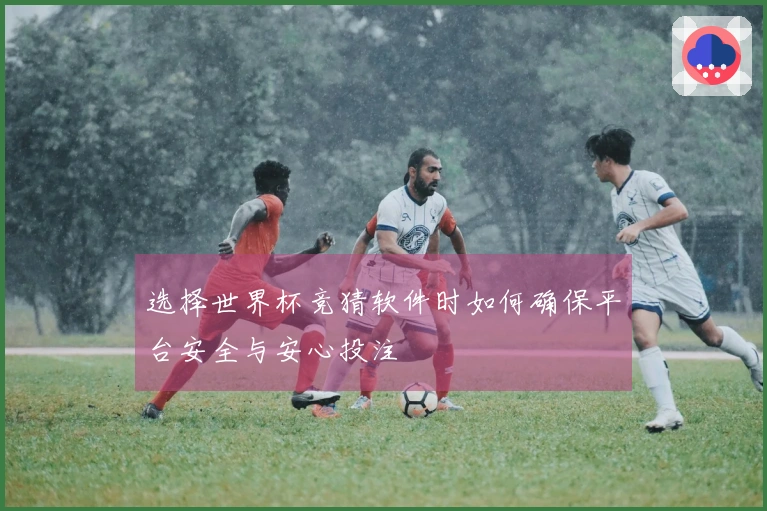 选择世界杯竞猜软件时如何确保平台安全与安心投注