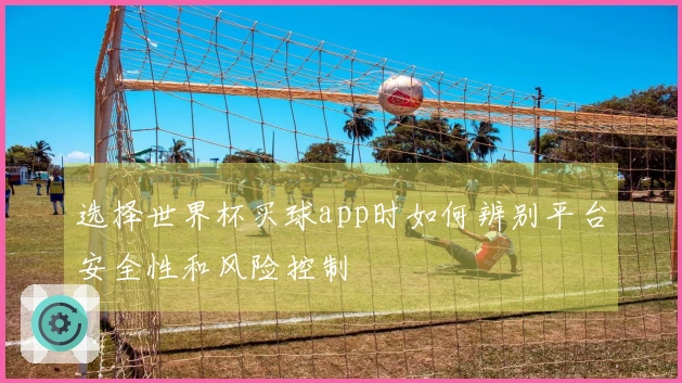 选择世界杯买球app时如何辨别平台安全性和风险控制