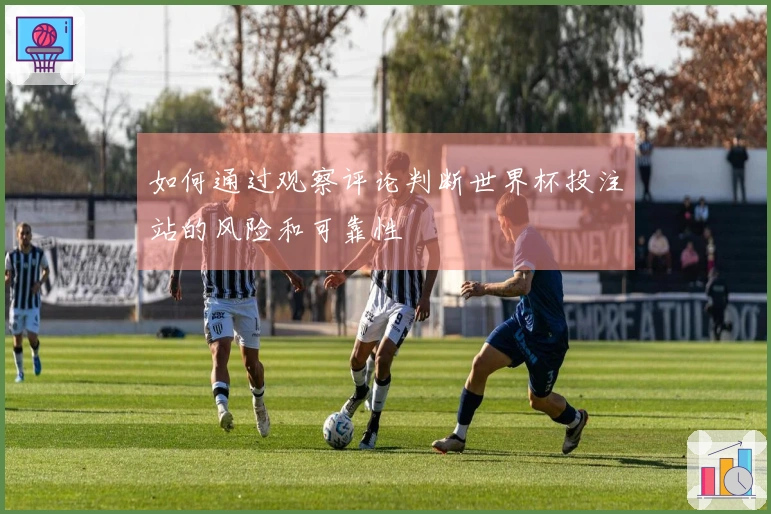 如何通过观察评论判断世界杯投注站的风险和可靠性