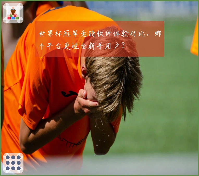 世界杯冠军竞猜软件体验对比，哪个平台更适合新手用户？